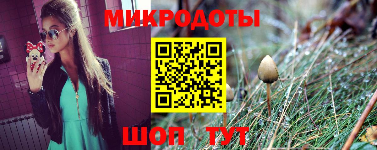 Псилоцибиновые грибы Cubensis Будённовск